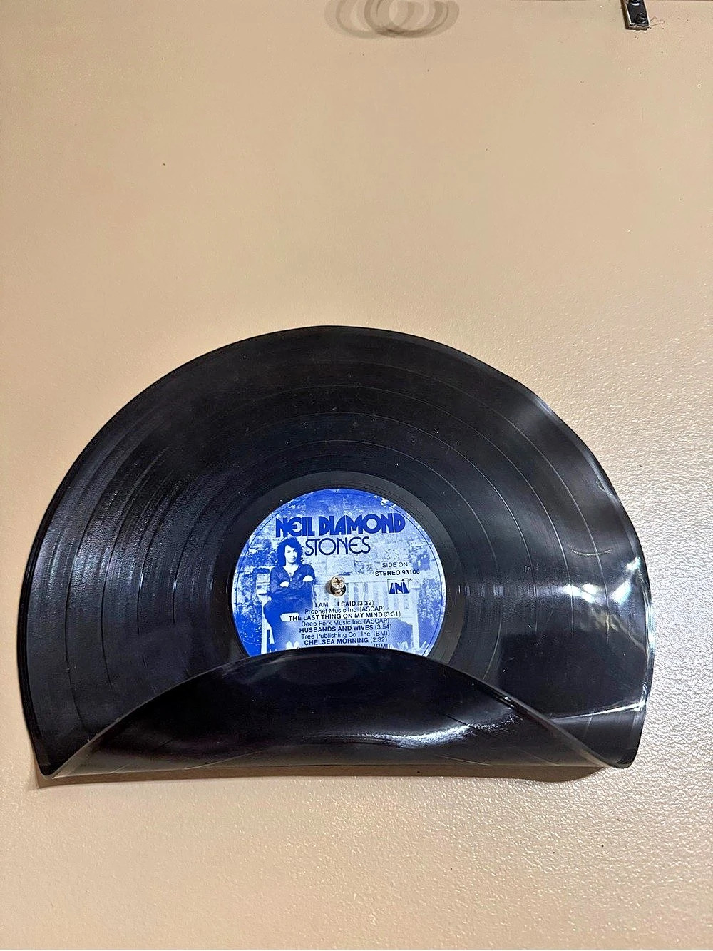 Vinyl record shelf wall decor